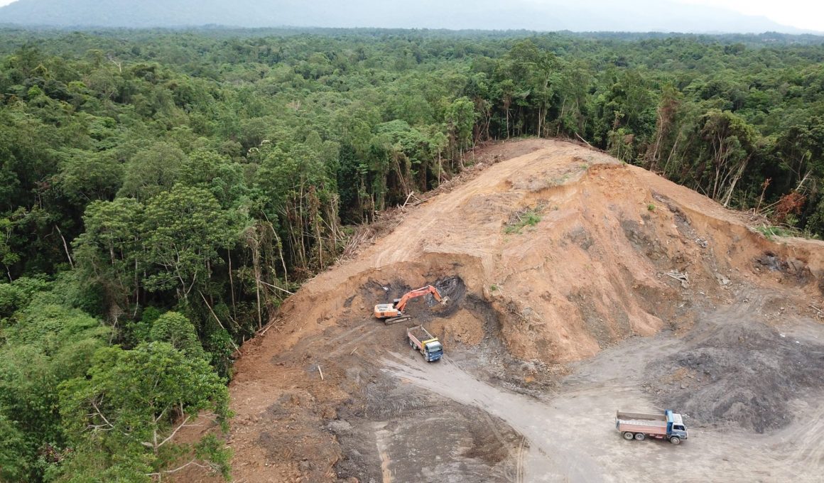 Front de déforestation sur l’île de Bornéo - Crédit photo : Shuttherstock